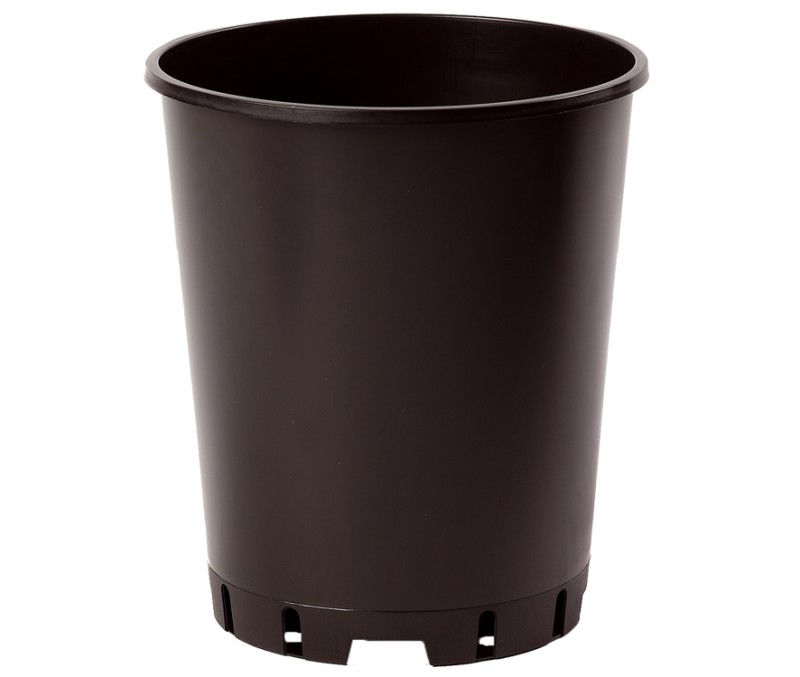 CONT ROSIER 2L G2 SH 14.9 X 17.4