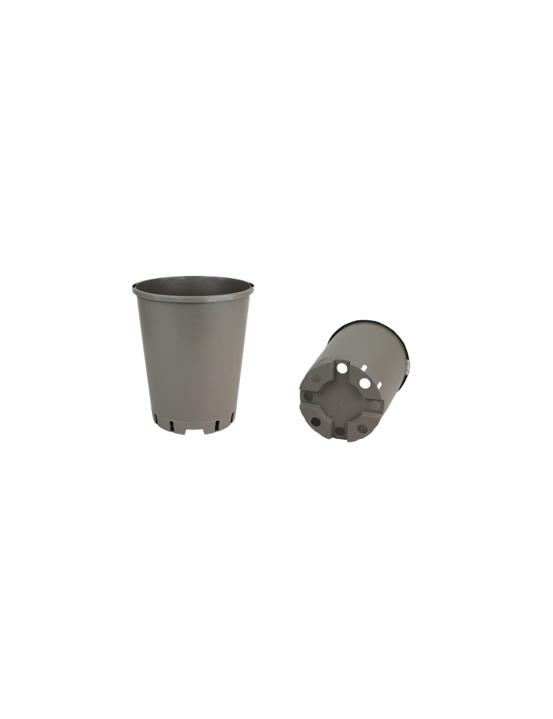 CONT ROSIER 2L G2 SH 14.9 X 17.4