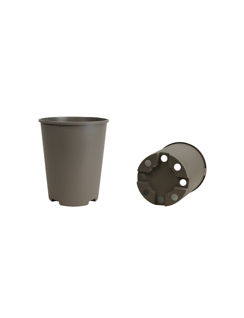 CONT ROSIER 4L SH G2 18.8 X 21.8