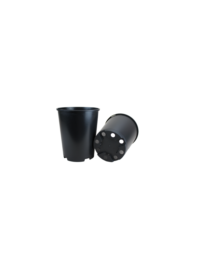 CONT ROSIER 4L SH G2 18.8 X 21.8