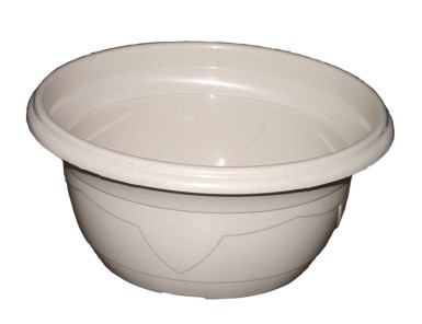 COUPE MILLESIA