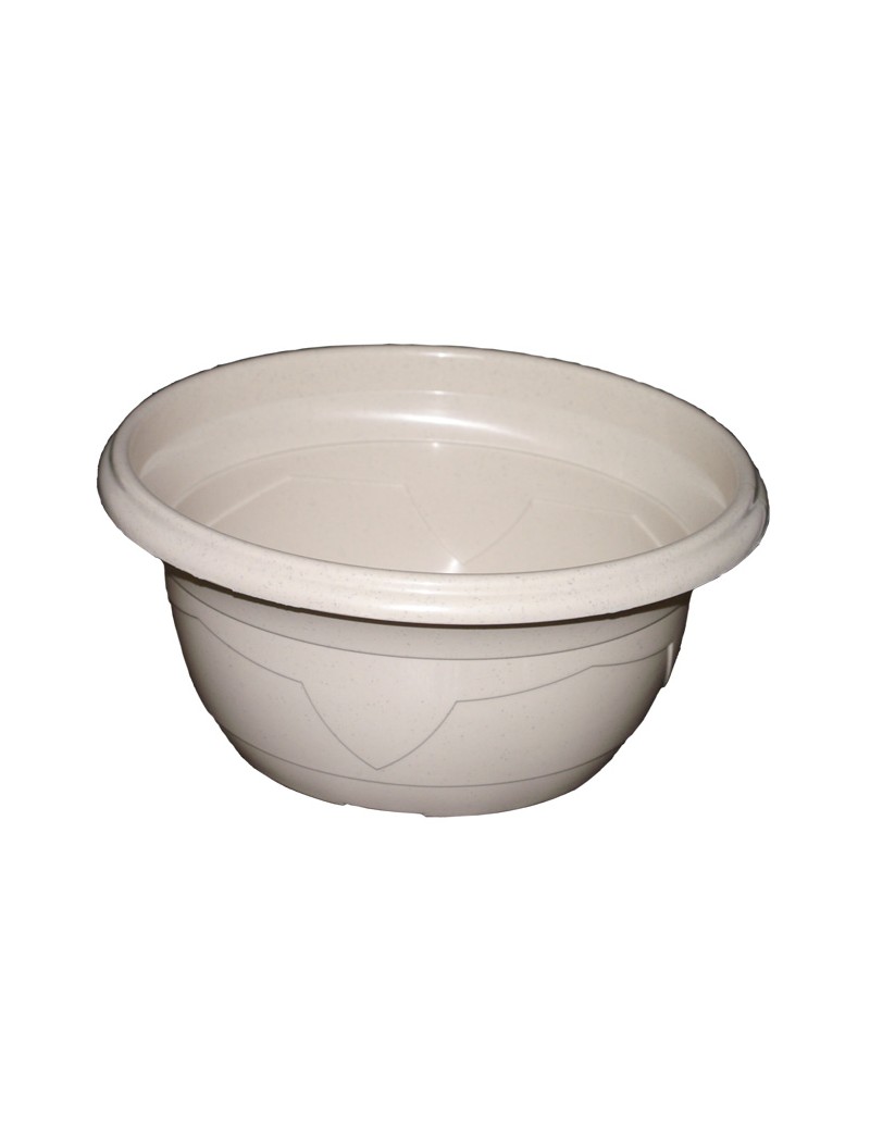 COUPE MILLESIA