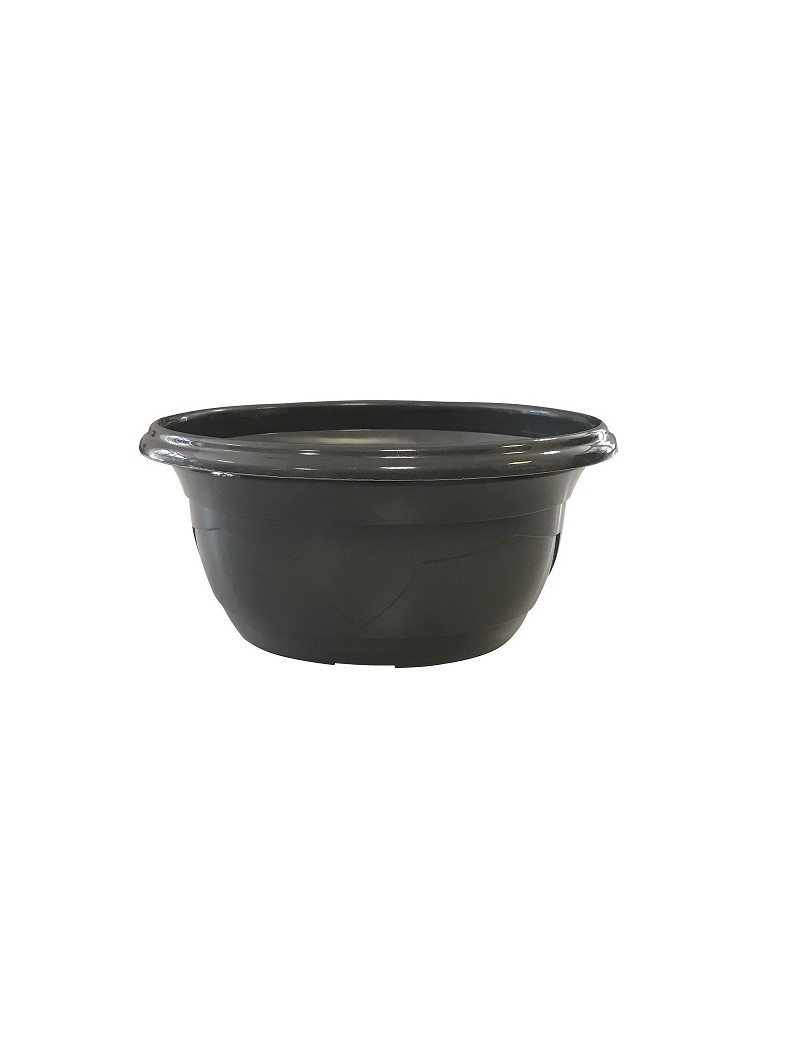 COUPE MILLESIA