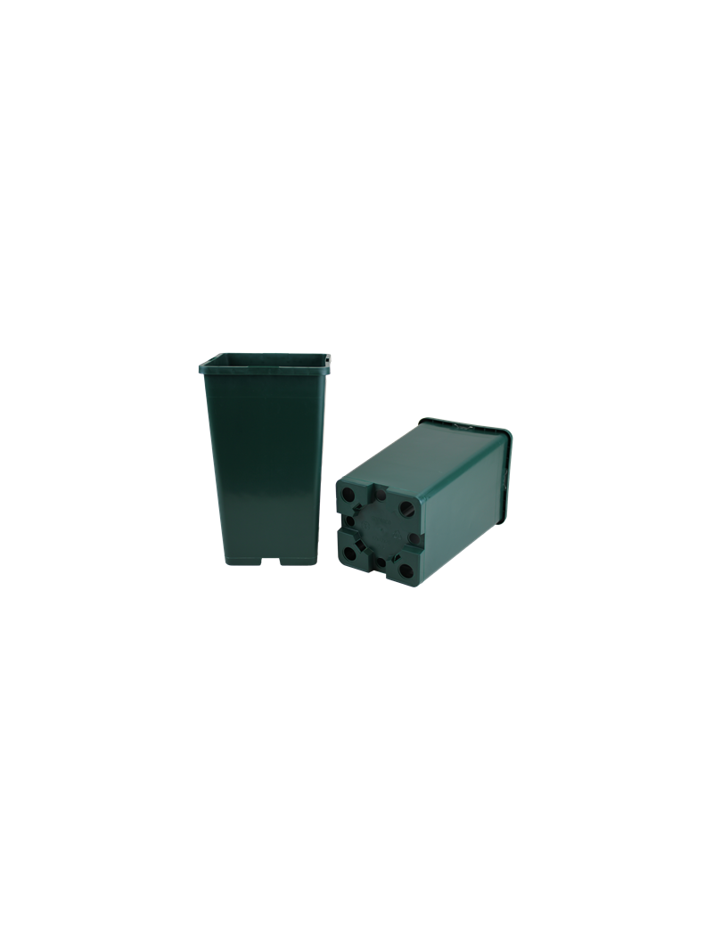 CONT ROSIER CARRE 2L 12X12X20