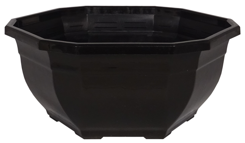COUPE OCEA PERCEE