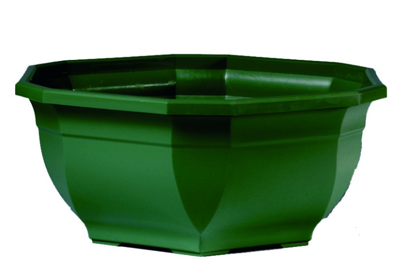 COUPE OCEA PERCEE