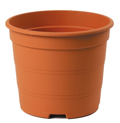 CONT TARRACO 3L ES 19X16