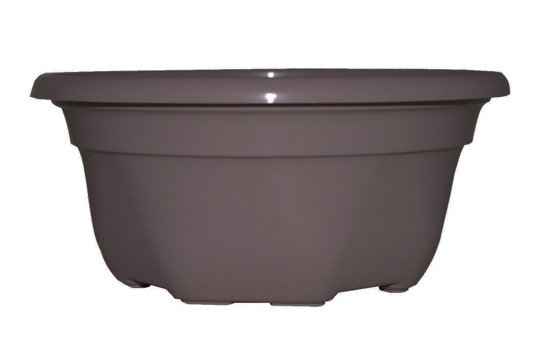 COUPE NINA