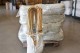 BAMBOU ARCEAUX