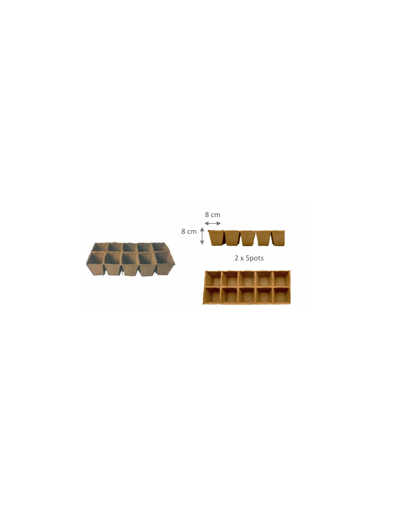 FERTILPOT PLAQUE 8 X 8  CARRE PLAQUE 10 GODETS