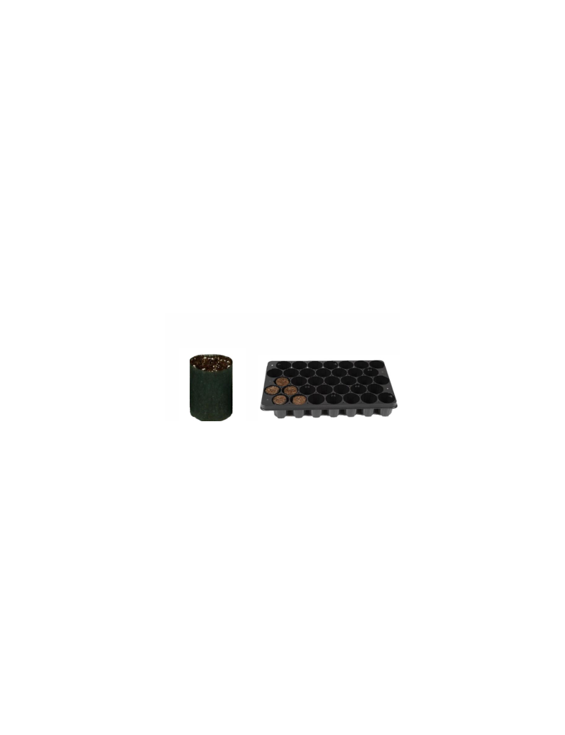 FERTISS  35 ALV. X 200 PLAT / 7000 MOTTES 5.2 x7