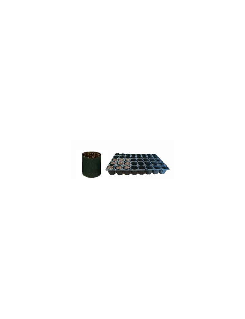 FERTISS  40 ALV. 2 X 72 PLAT / 5760 MOTTES 5.2 X6