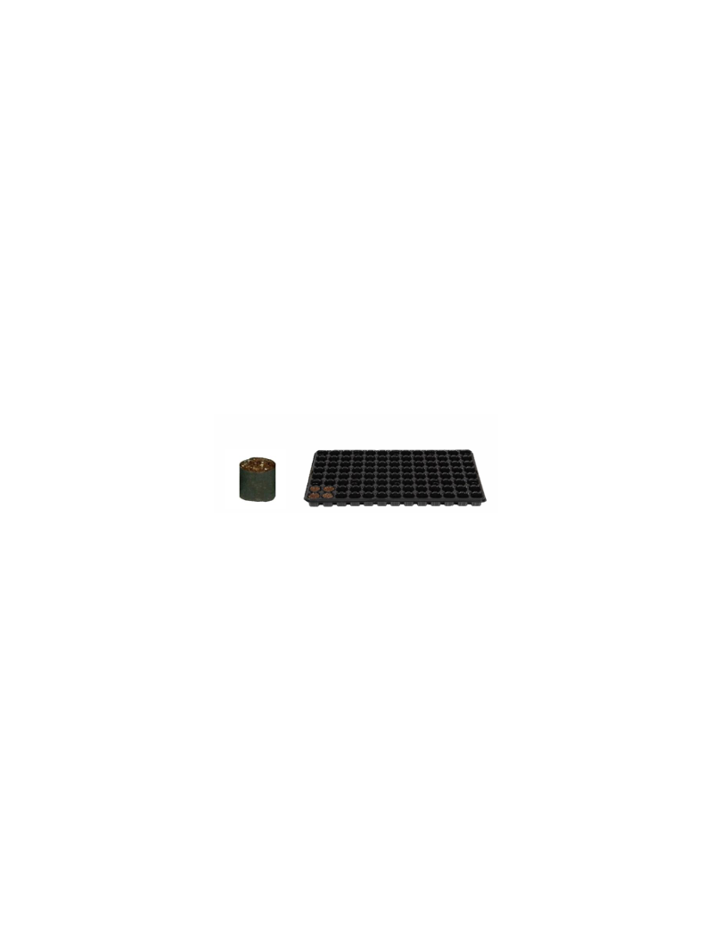 FERTISS 104 ALV. 2 X 240 PLAT / 49920 MOTTES 3 X 3