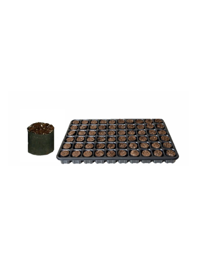 FERTISS 60 ALV. X 14 PLAT /...