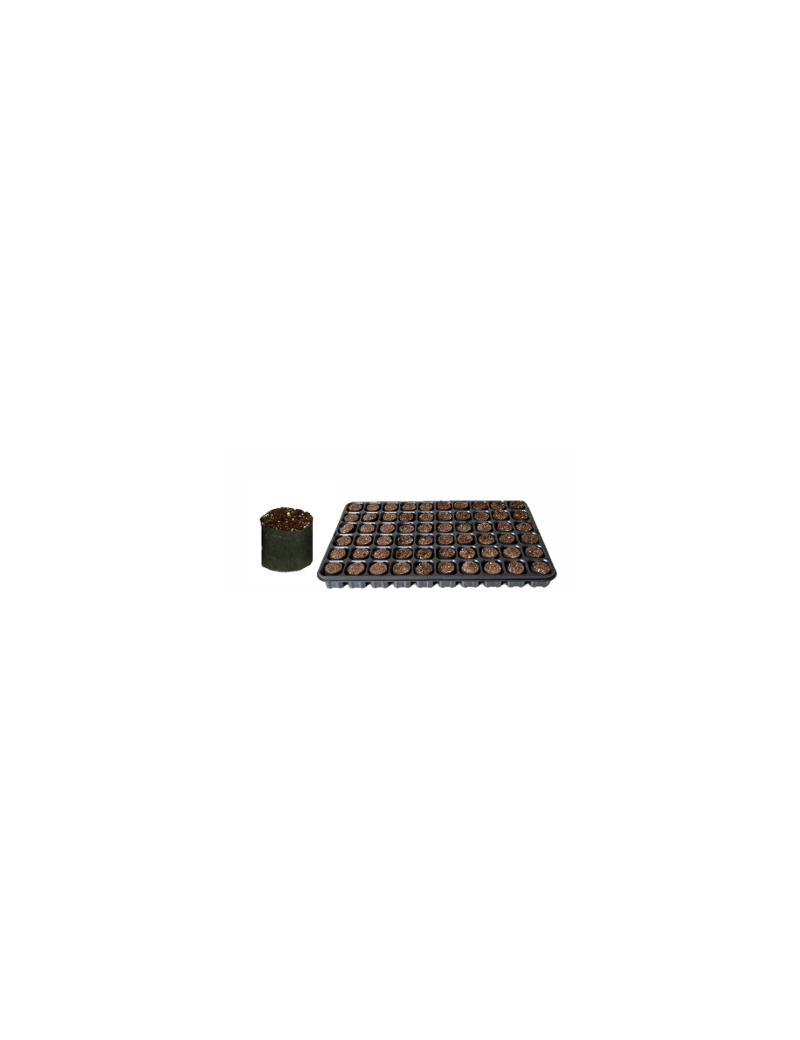 FERTISS 60 ALV. X 14 PLAT / 840 MOTTES 4 X 4