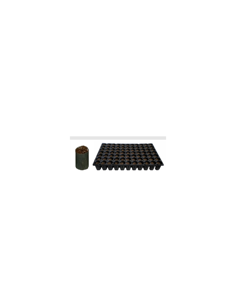 FERTISS 77 ALV. X 8 PLAT / 616 MOTTES 3.2 X 6