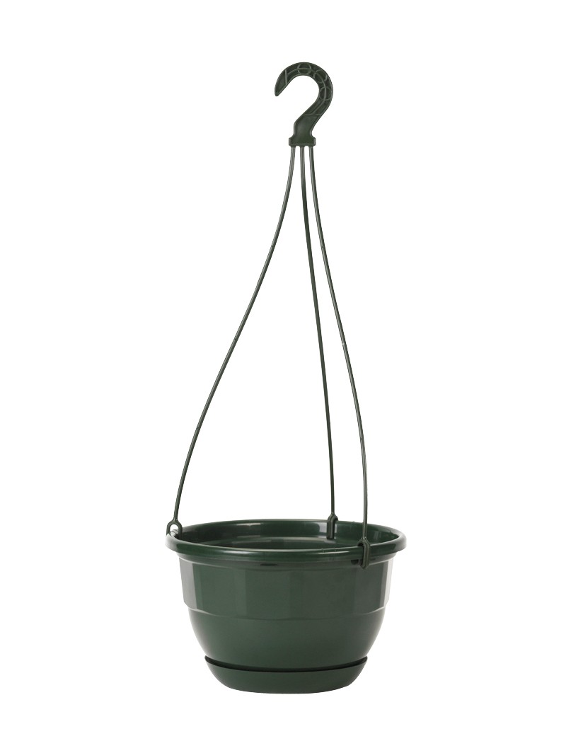 SUSPENSION DIVINA+SOUCOUPE CLIPPEE