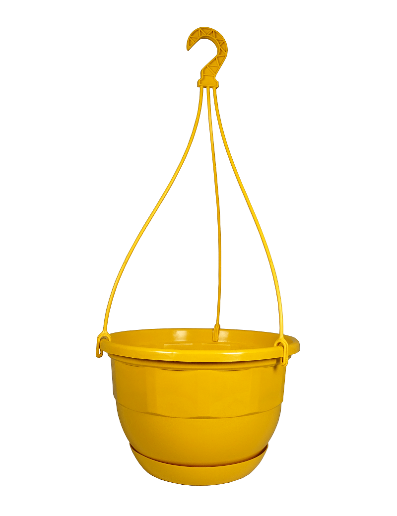 SUSPENSION DIVINA+SOUCOUPE CLIPPEE