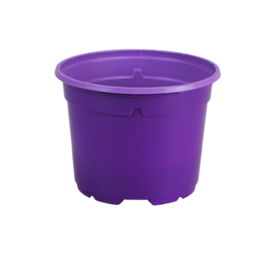POT DUO 5° 12 BAS  0.75 L