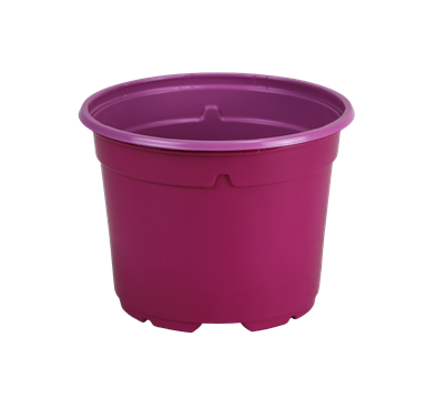 POT DUO 5° 17 BAS  2L