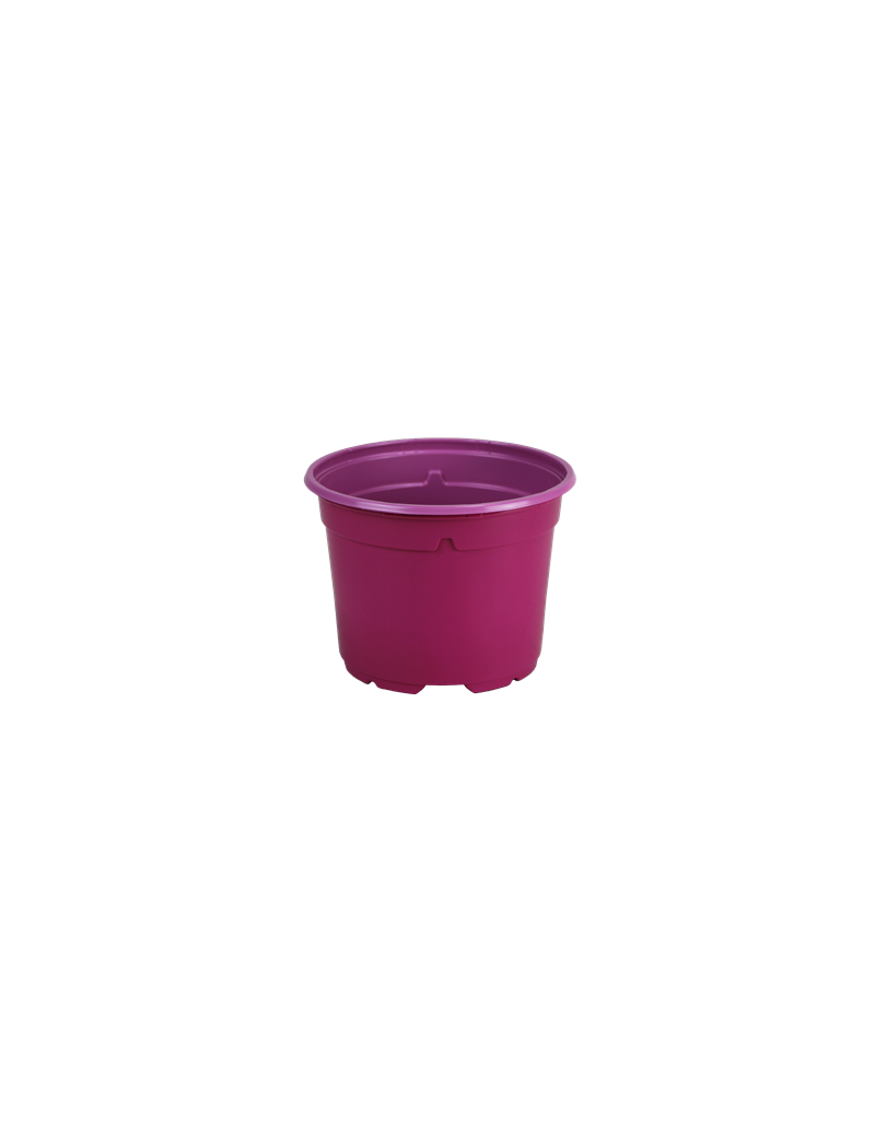 POT DUO 5° 17 BAS  2L