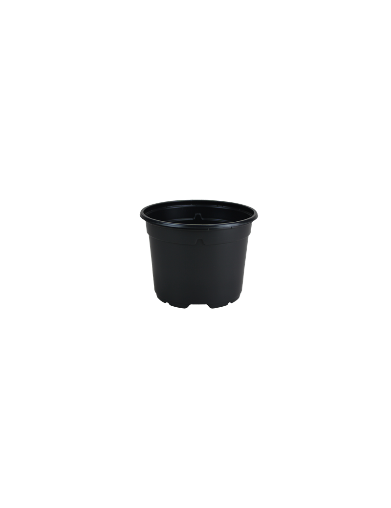 POT DUO 5° 19 BAS  3L