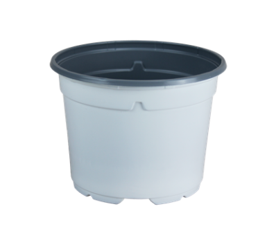 POT DUO 5° 19 BAS  3L