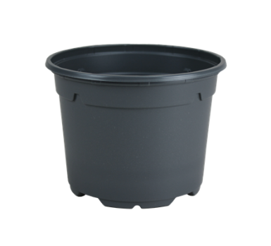 POT DUO 5° 21 BAS 3.5L