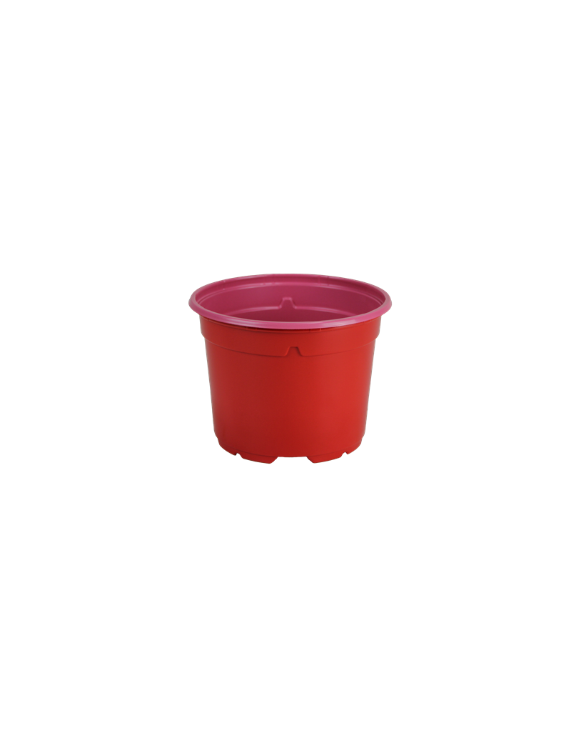 POT DUO 5° 9 BAS 0.3L