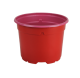 POT DUO 5° 9 BAS 0.3L