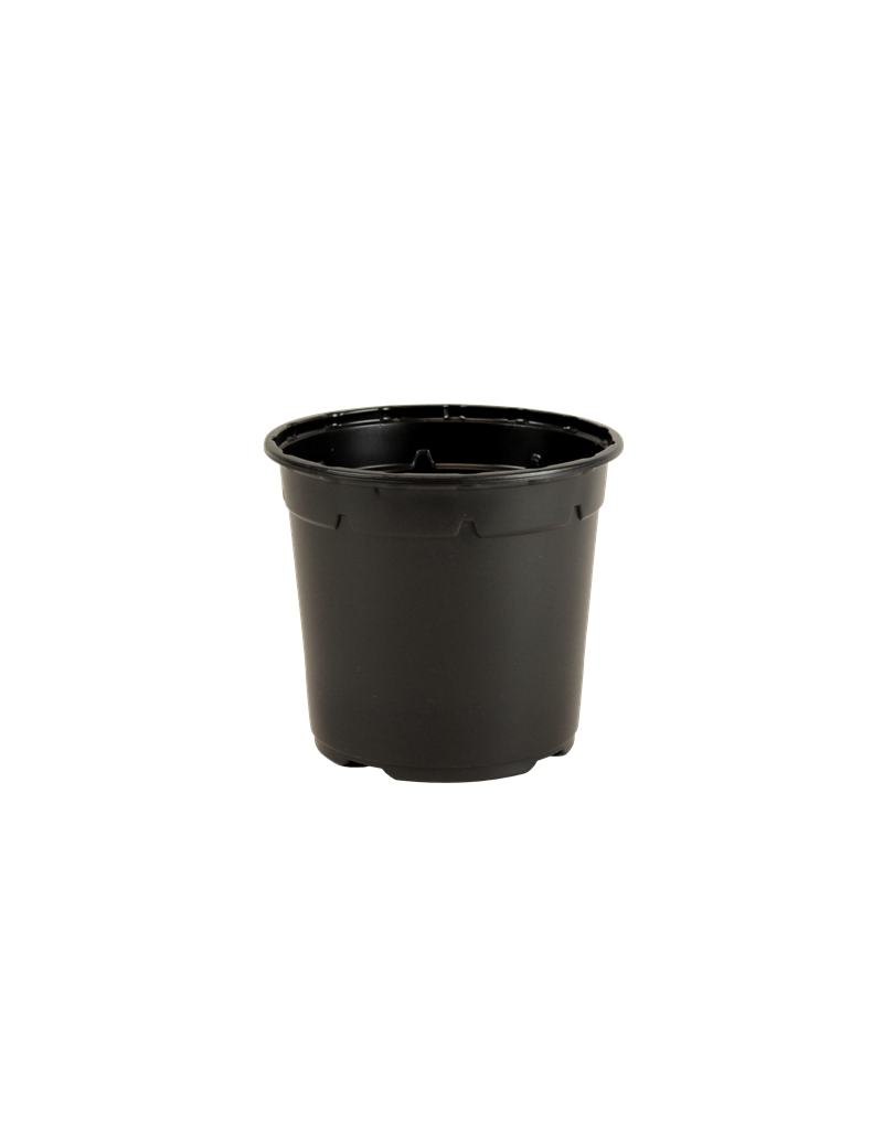 POT DUO 5° 13 HAUT 1L