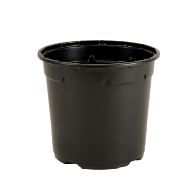 POT DUO 5° 21 HAUT 4L