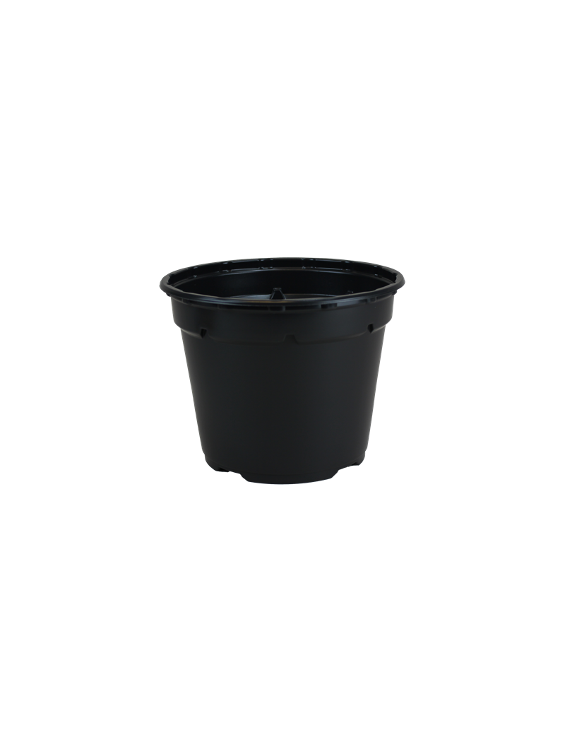 POT DUO 8° 10 X 7.8 ES  0.38 L