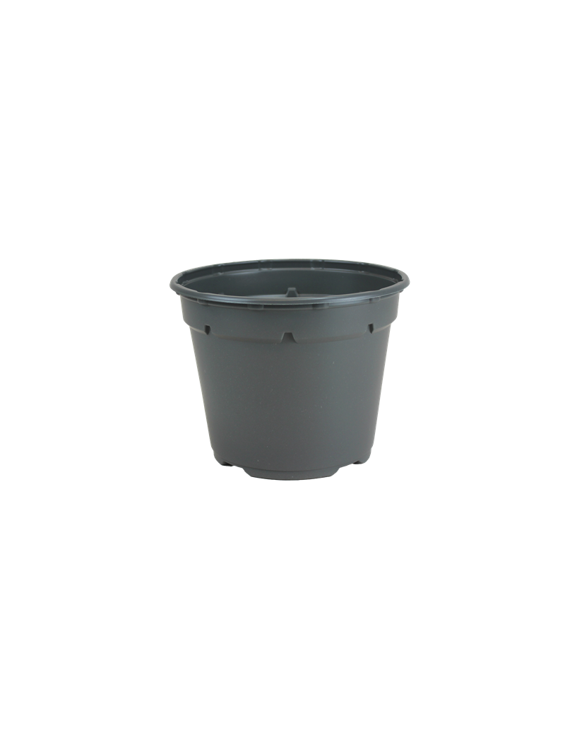 POT DUO 8° 10 X 7.8 ES  0.38 L