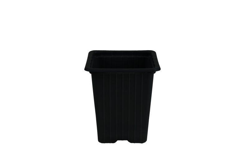 GODET PP 7 X 7 X 8  0.23 L