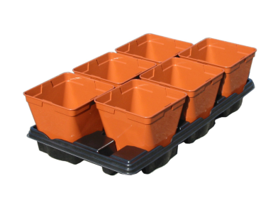PLAQUE GM  6 POTS DE 17 CM...