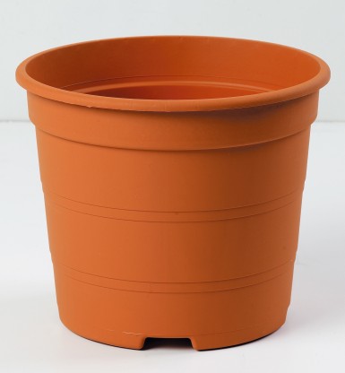 CONT TARRACO 15L 35X26