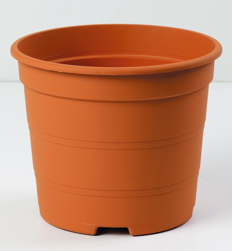 CONT TARRACO 15L 35X26