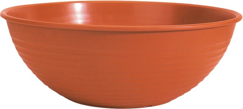 COUPE SOP