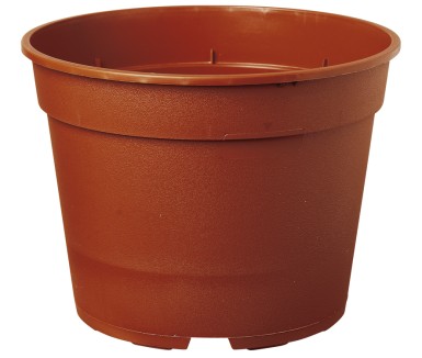 POT CHRYSANTHEME 3.5L  21 X 15