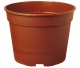 POT CHRYSANTHEME 3.5L  21 X 15