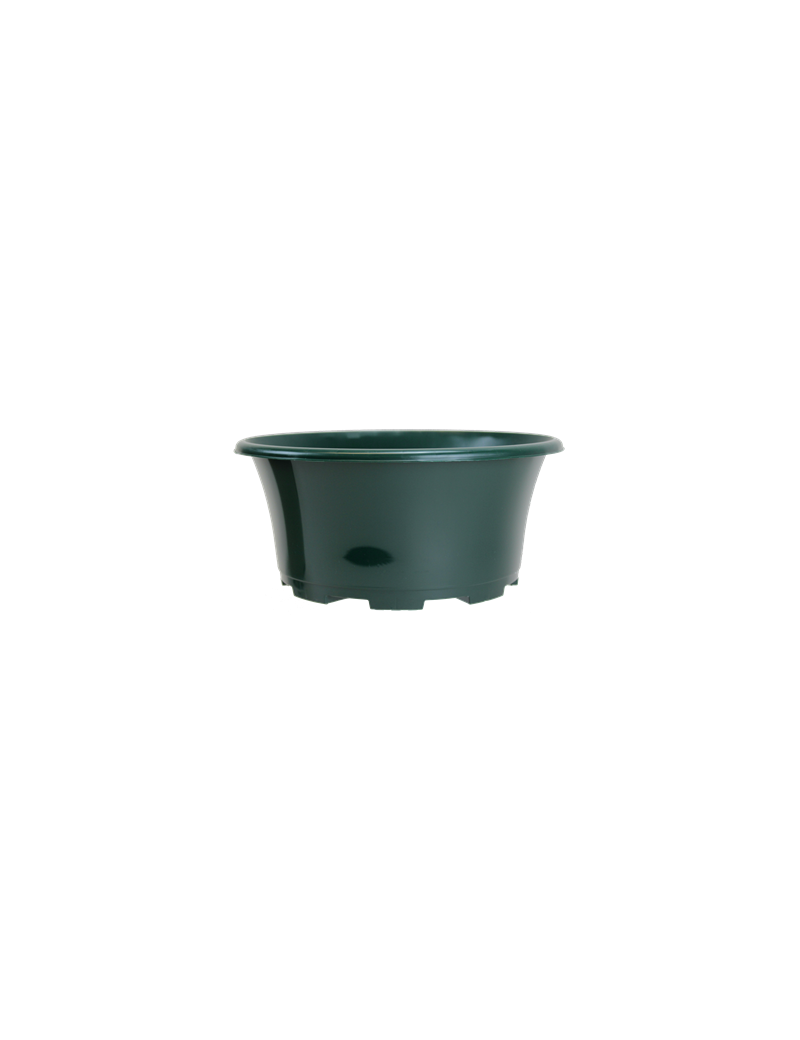 COUPE EOLE