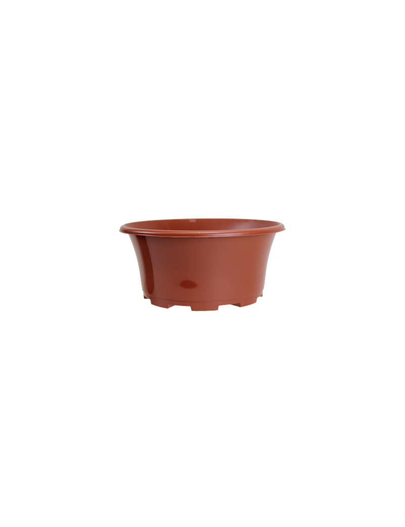 COUPE EOLE