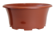COUPE EOLE