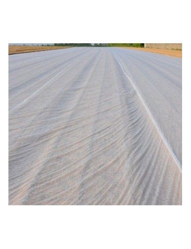 P17 VOILE D'HIVERNAGE