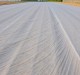 P17 VOILE D'HIVERNAGE