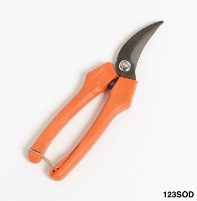 SECATEUR VENDANGE