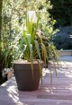 POT TOSCANE