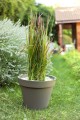 POT TOSCANE