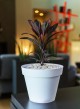 POT TOSCANE